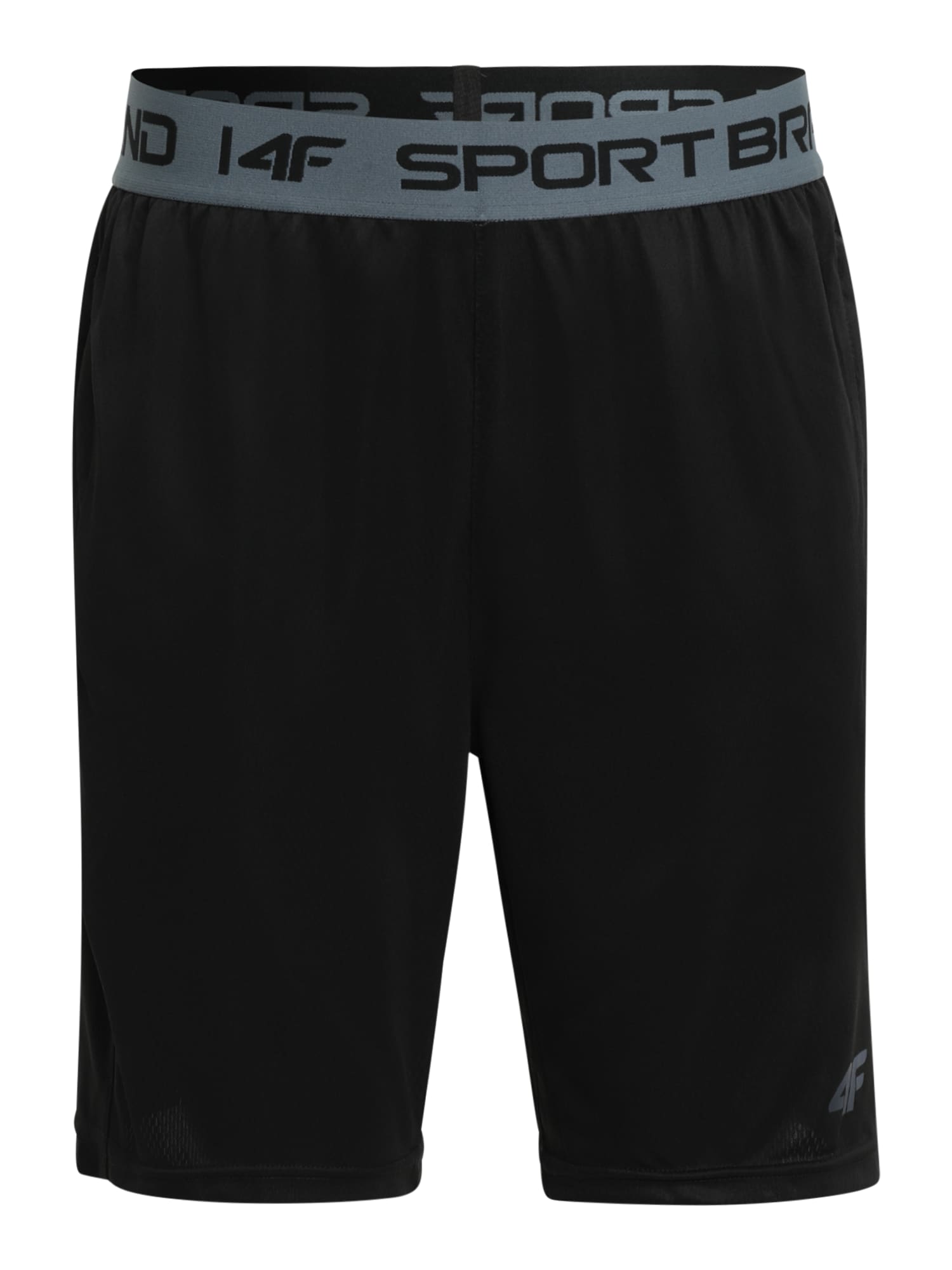 4F Športne hlače  dimno-siva / črna