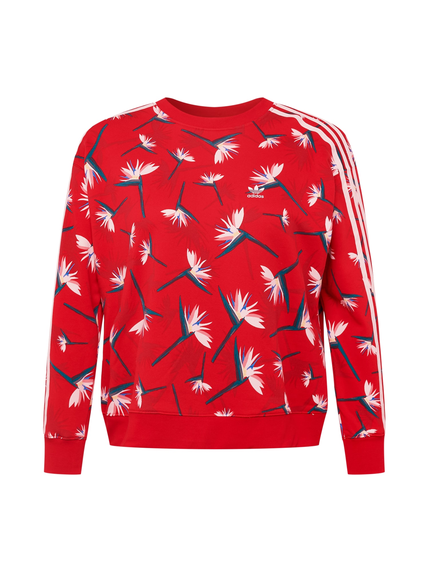 ADIDAS ORIGINALS Majica  petrol / rdeča / bela