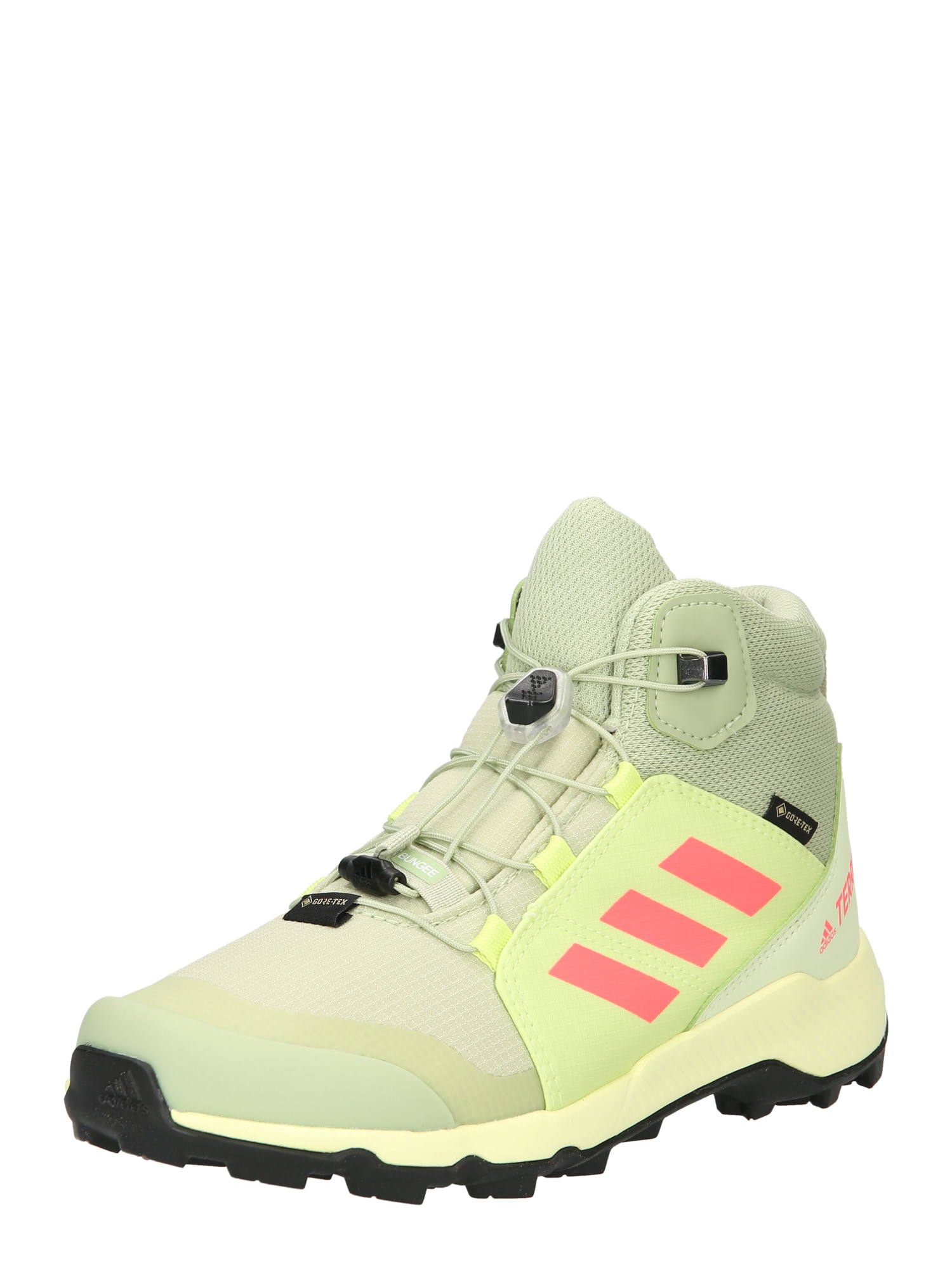 ADIDAS TERREX Škornji  limeta / oliva / neonsko roza