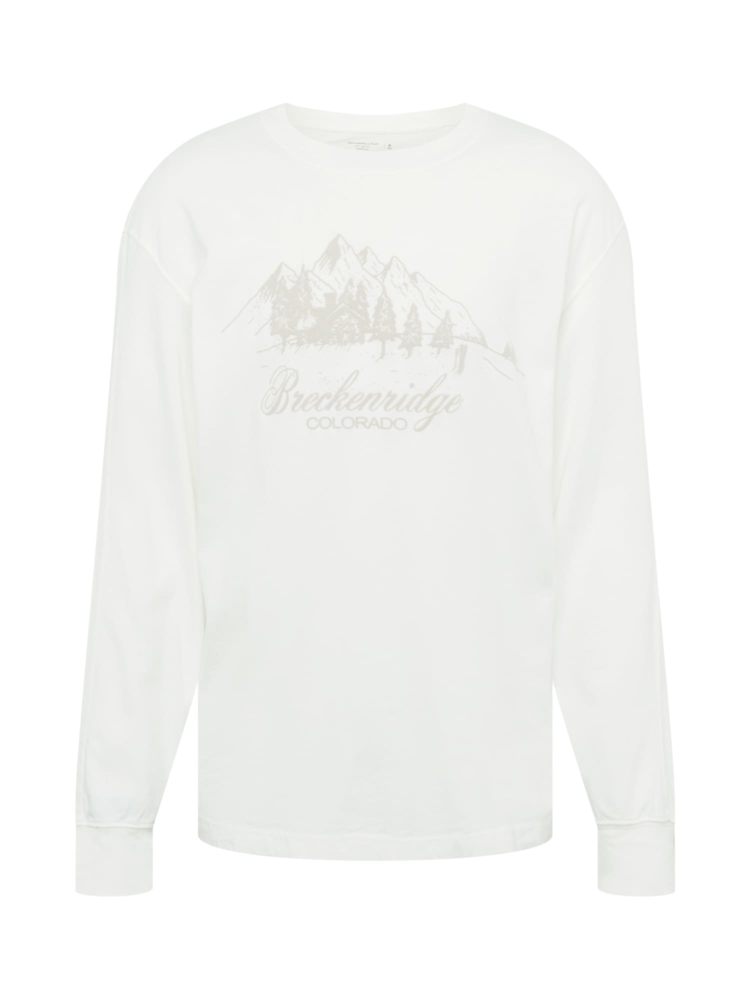 Abercrombie & Fitch Majica  greige / bela