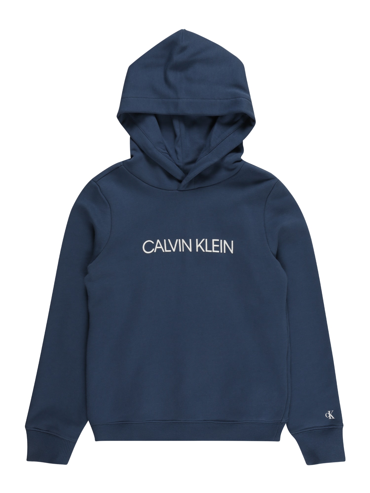 Calvin Klein Jeans Majica  marine / svetlo siva