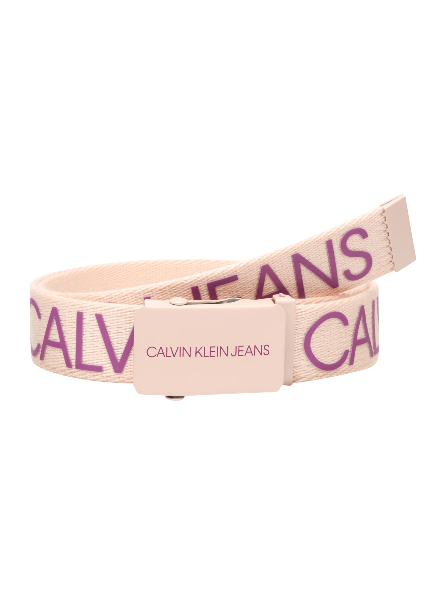 Calvin Klein Jeans Pas 'CANVAS LOGO BELT'  roza / vijolična
