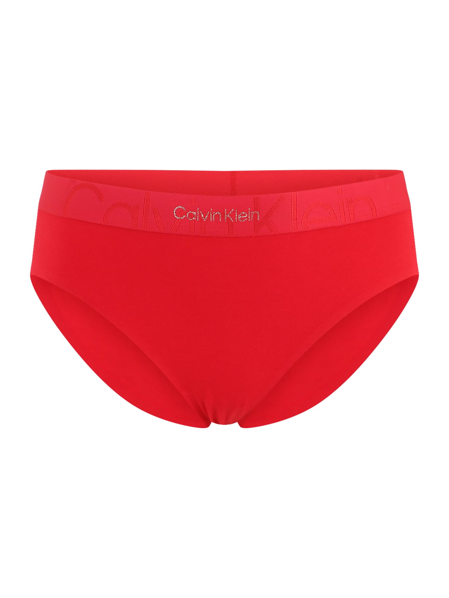 Calvin Klein Underwear Plus Spodnje hlačke  rdeča / srebrna