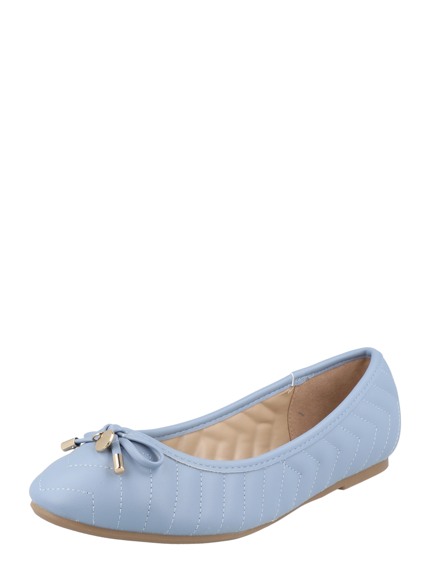 Dorothy Perkins Balerinke 'Paynton'  svetlo modra