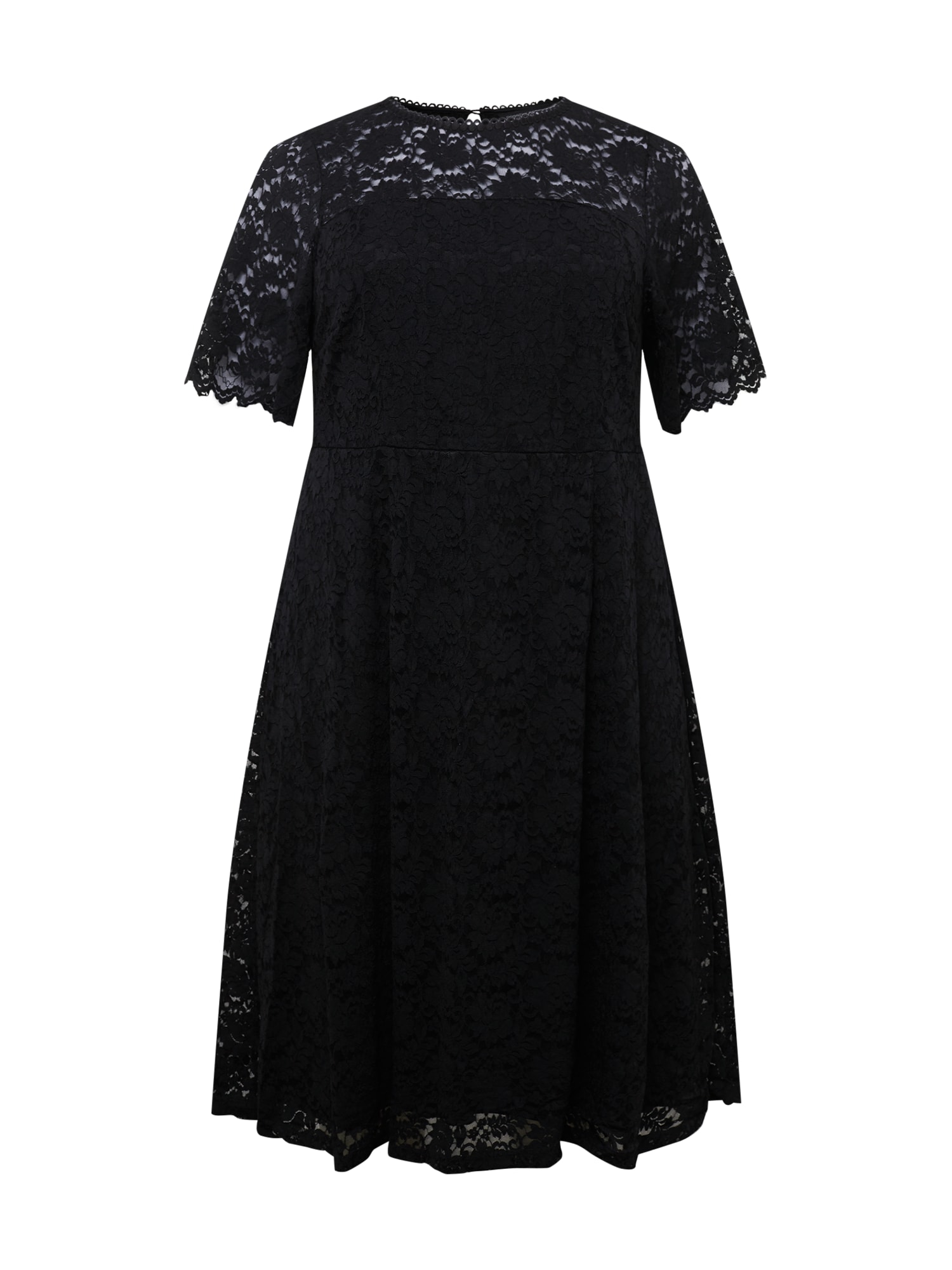 Dorothy Perkins Curve Koktejl obleka  črna