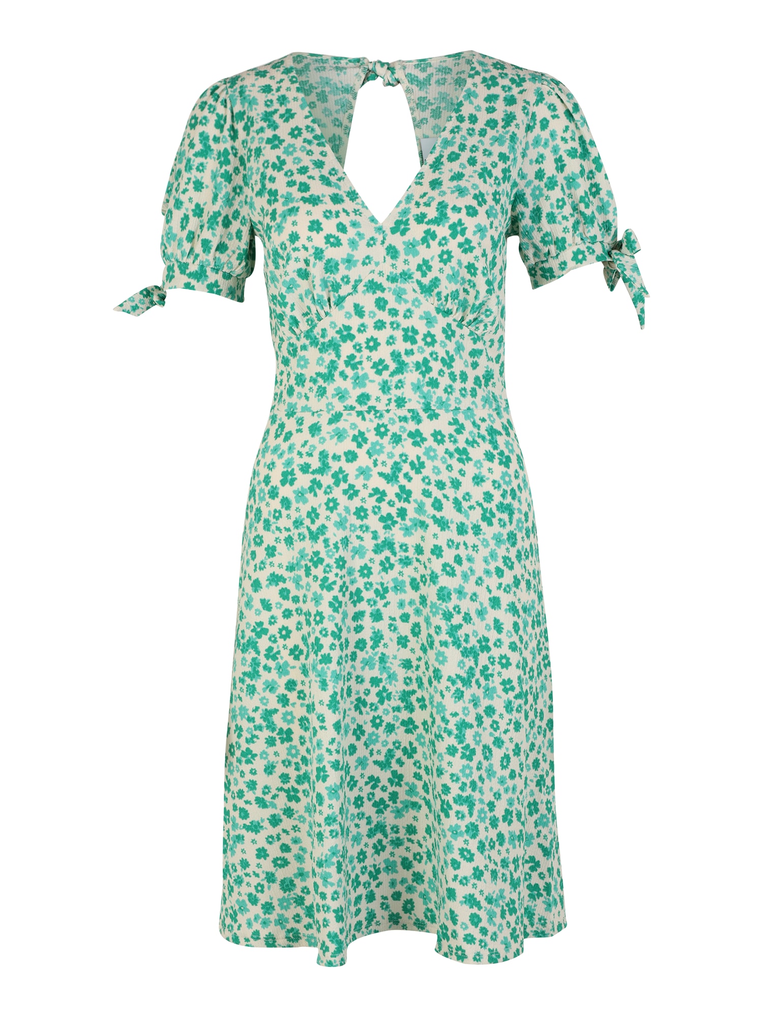 Dorothy Perkins Tall Obleka  bež / zelena / žad