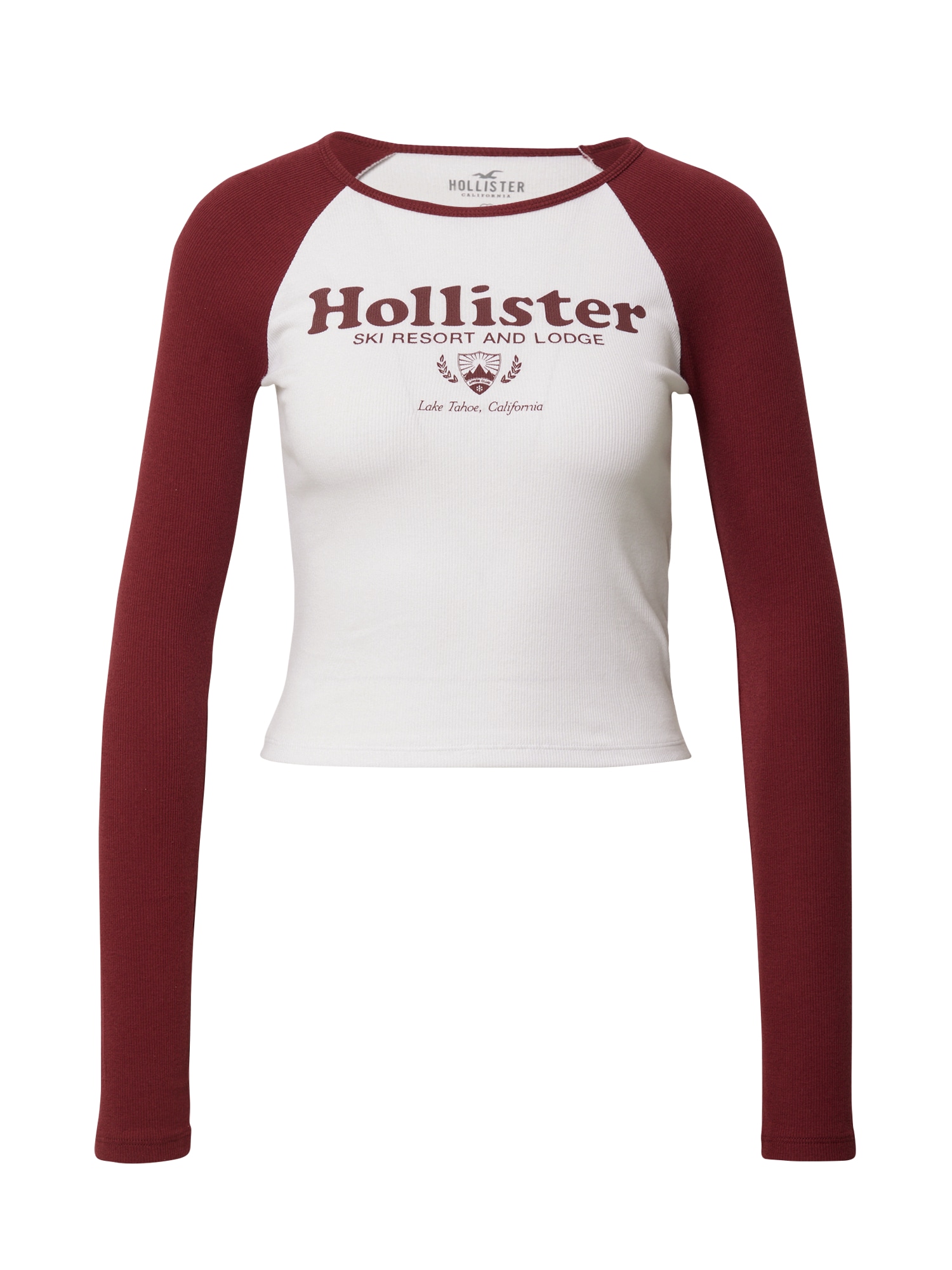 HOLLISTER Majica  bordo / bela