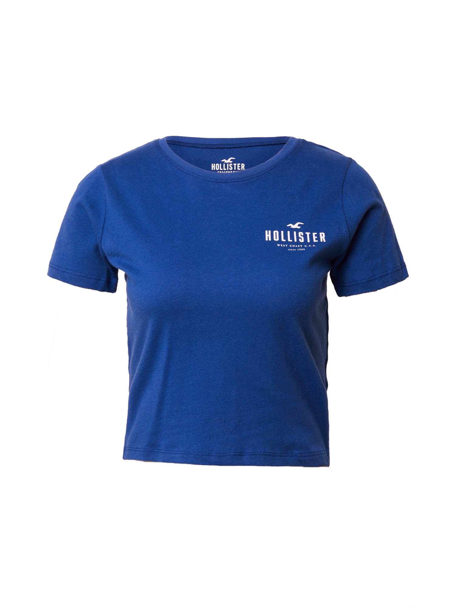 HOLLISTER Majica  modra / bela