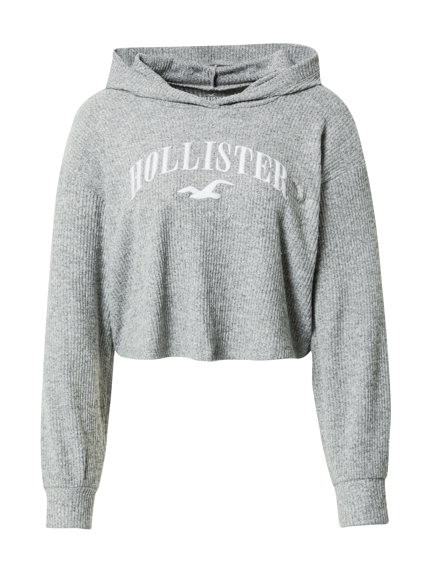 HOLLISTER Majica  pegasto siva / bela