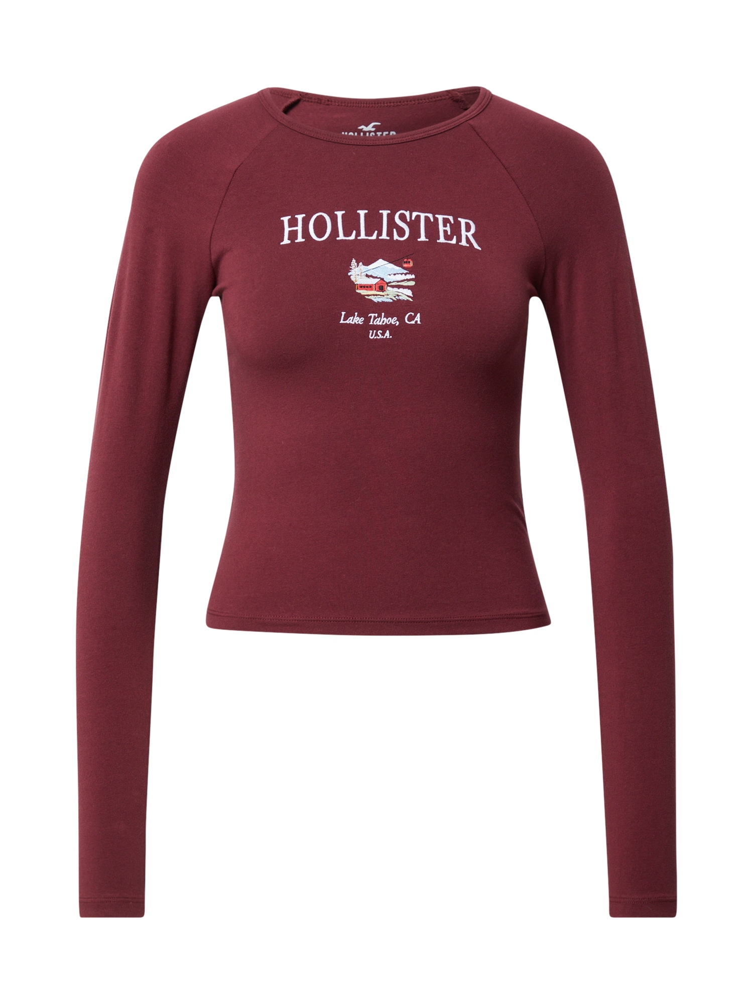 HOLLISTER Majica  svetlo modra / svetlo zelena / temno rdeča / bela
