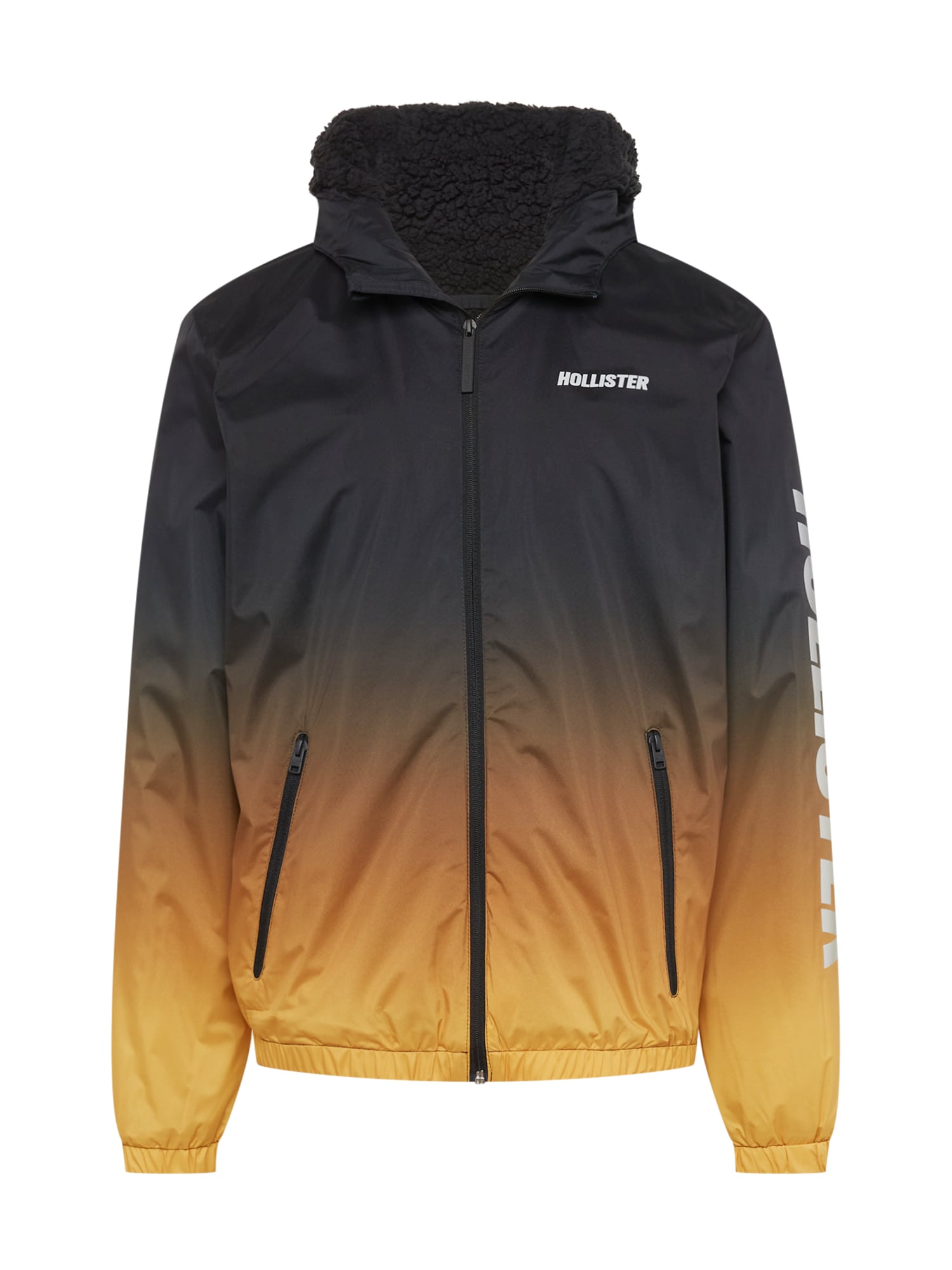 HOLLISTER Prehodna jakna  gorčica / črna / bela