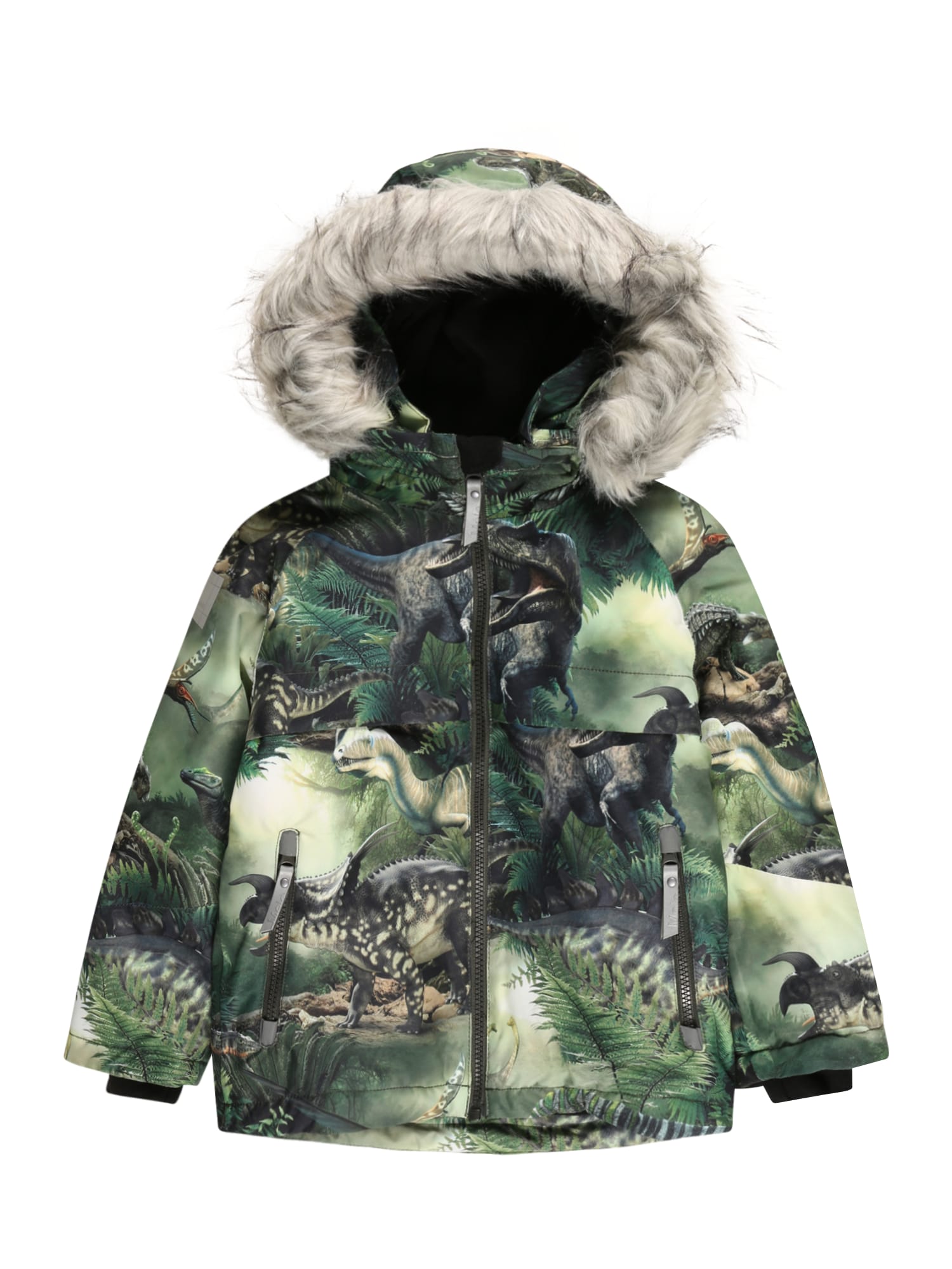 Molo Zimska jakna 'Castor'  rjava / svetlo zelena / temno zelena