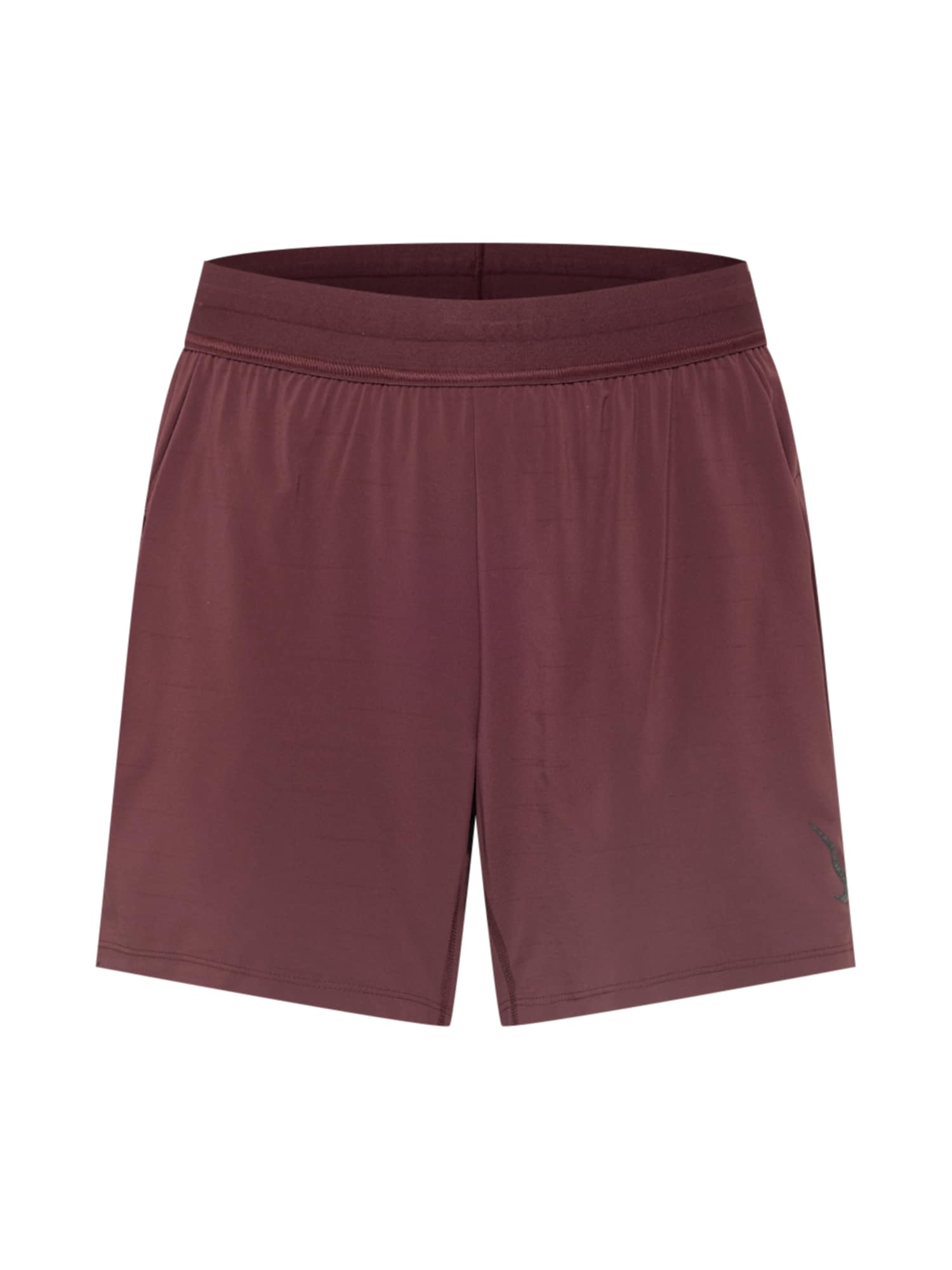 NIKE Športne hlače  burgund