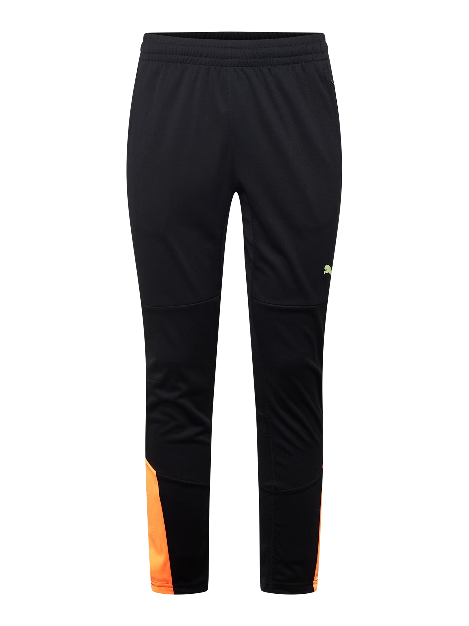PUMA Športne hlače  pastelno zelena / oranžna / črna