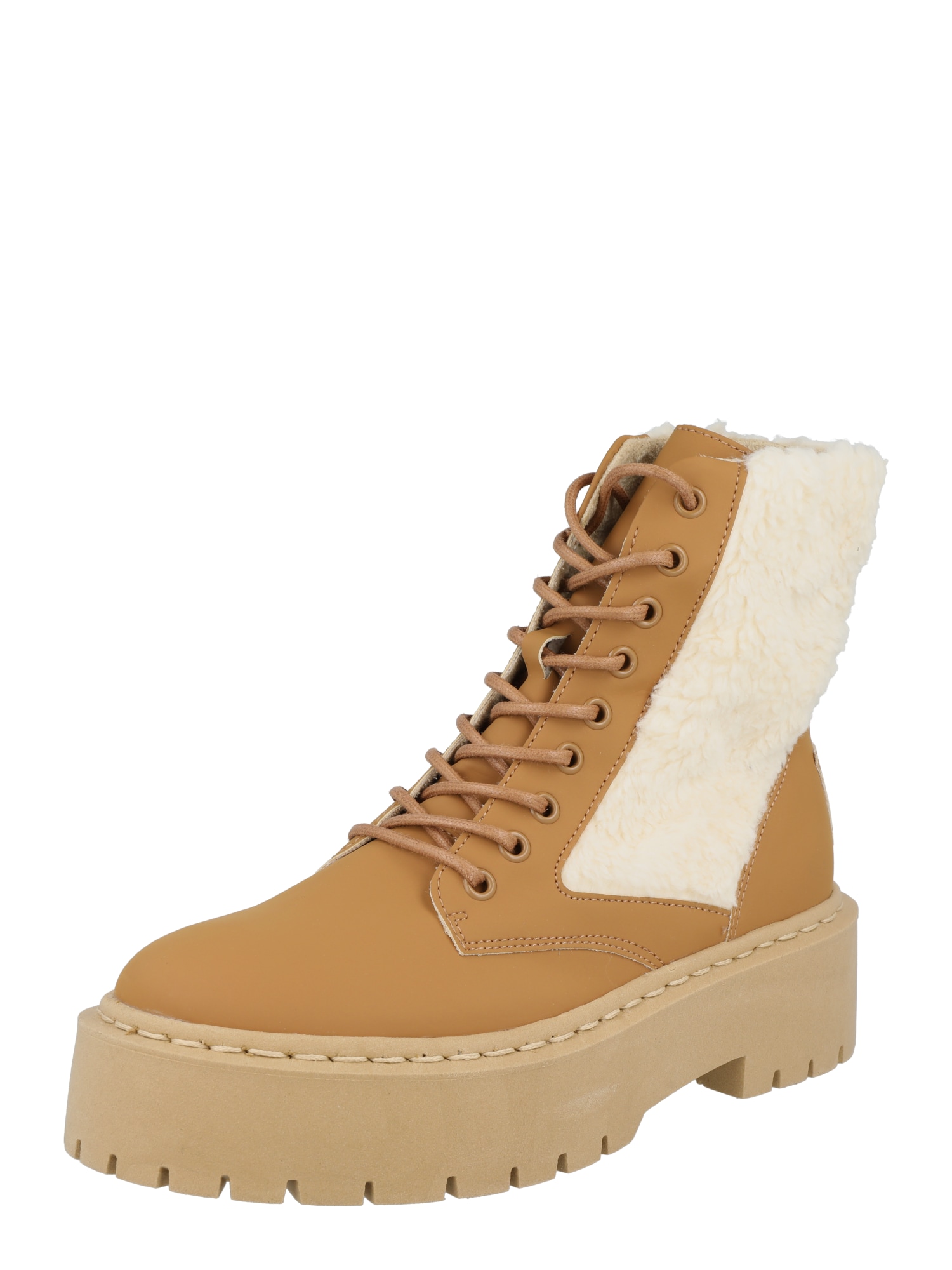 STEVE MADDEN Gležnarji z vezalkami 'SKETTLE'  bež / pesek