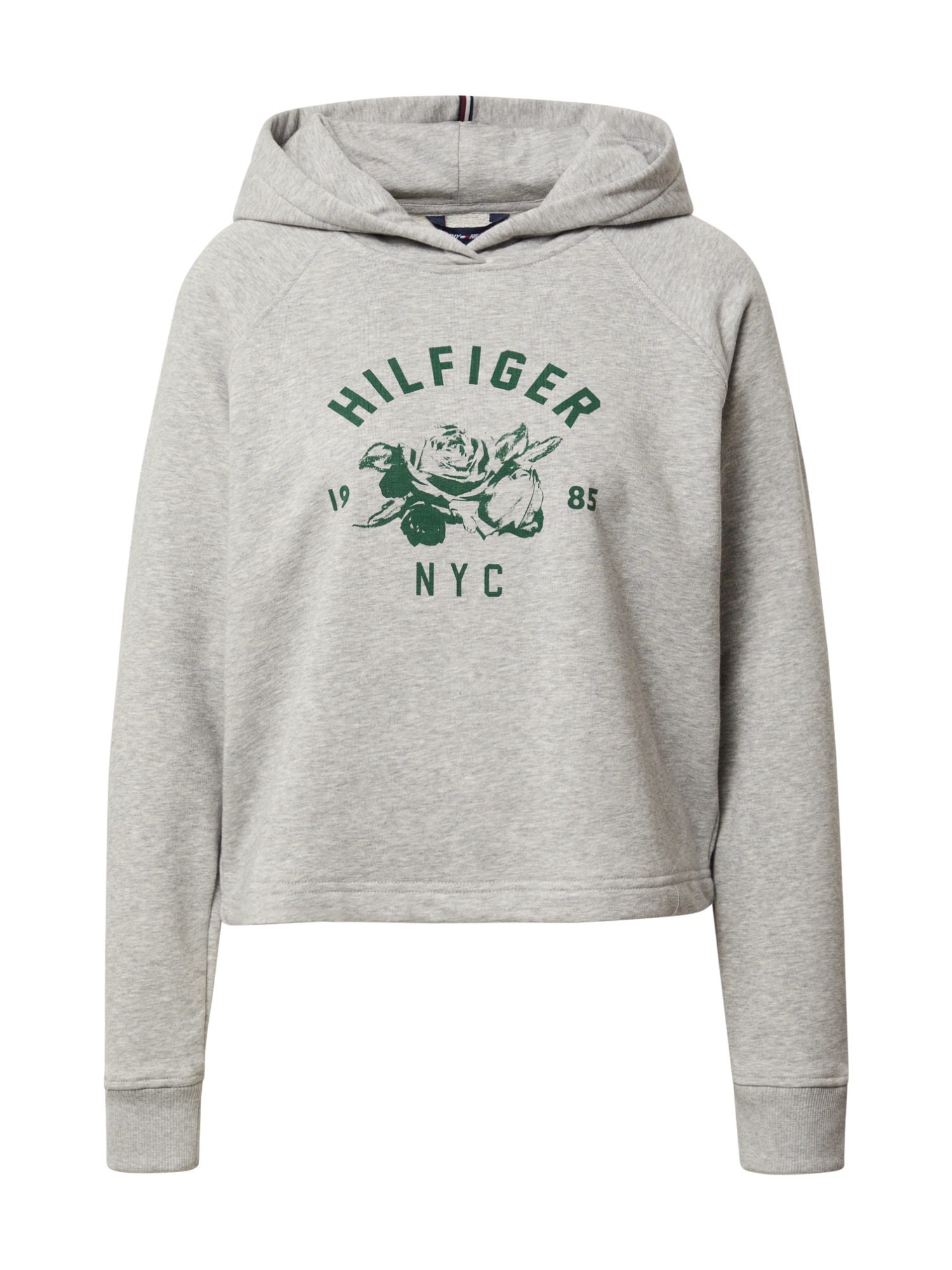 TOMMY HILFIGER Majica  pegasto siva / temno zelena