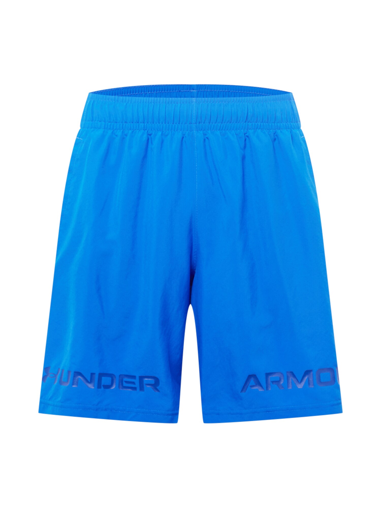 UNDER ARMOUR Športne hlače  modra / mornarska