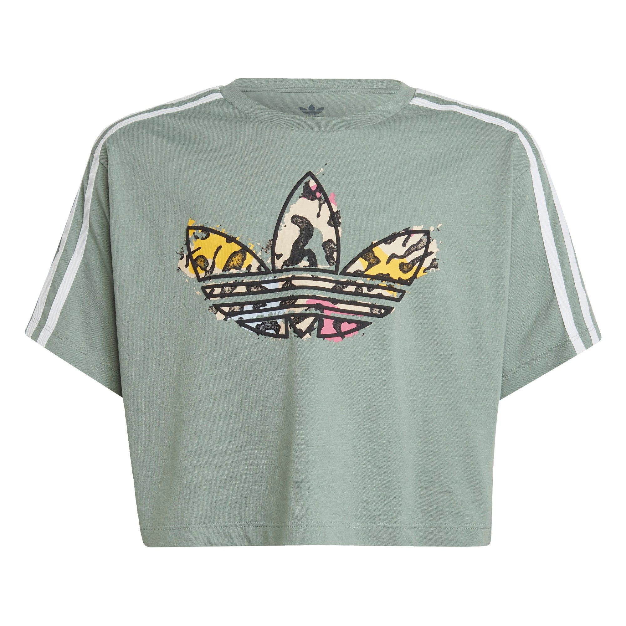 ADIDAS ORIGINALS Majica  zelena / mešane barve