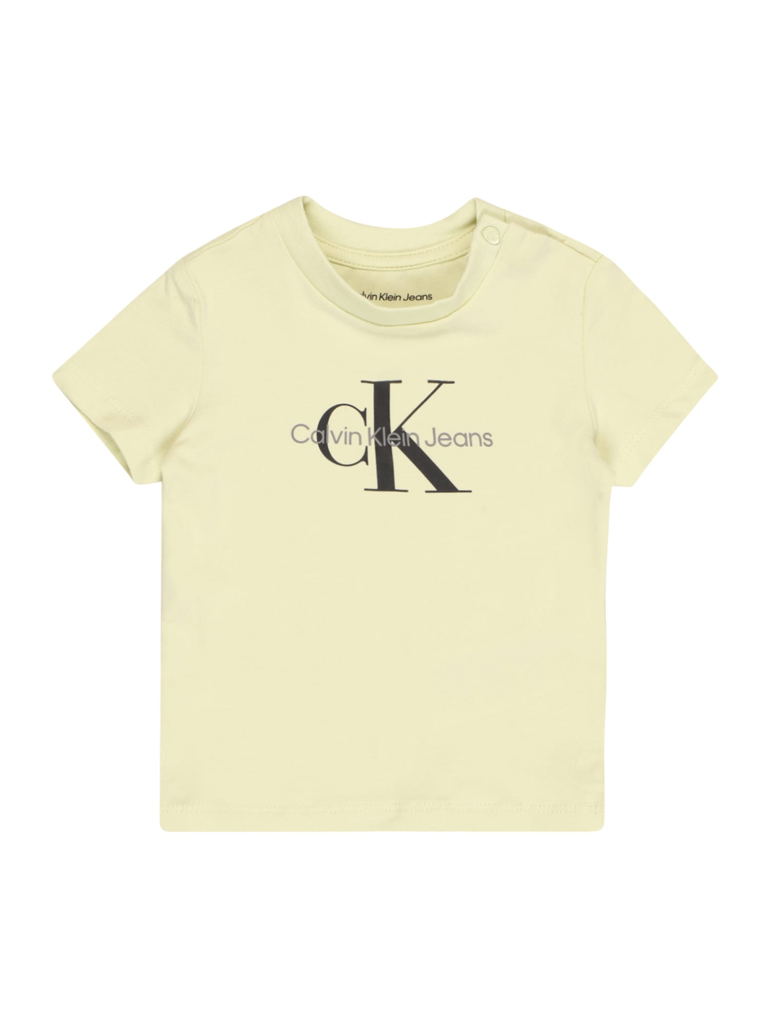 Calvin Klein Jeans Majica  siva / trst / črna