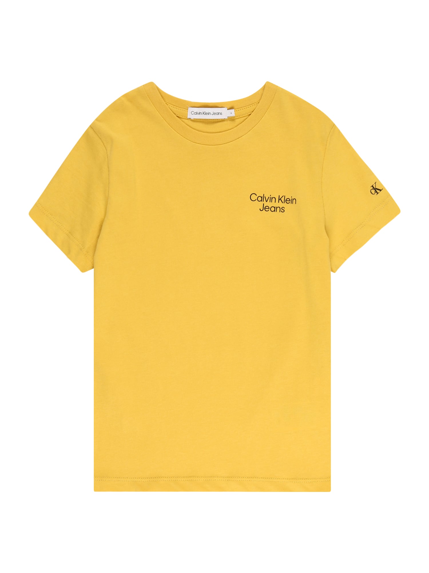 Calvin Klein Jeans Majica  trst / črna