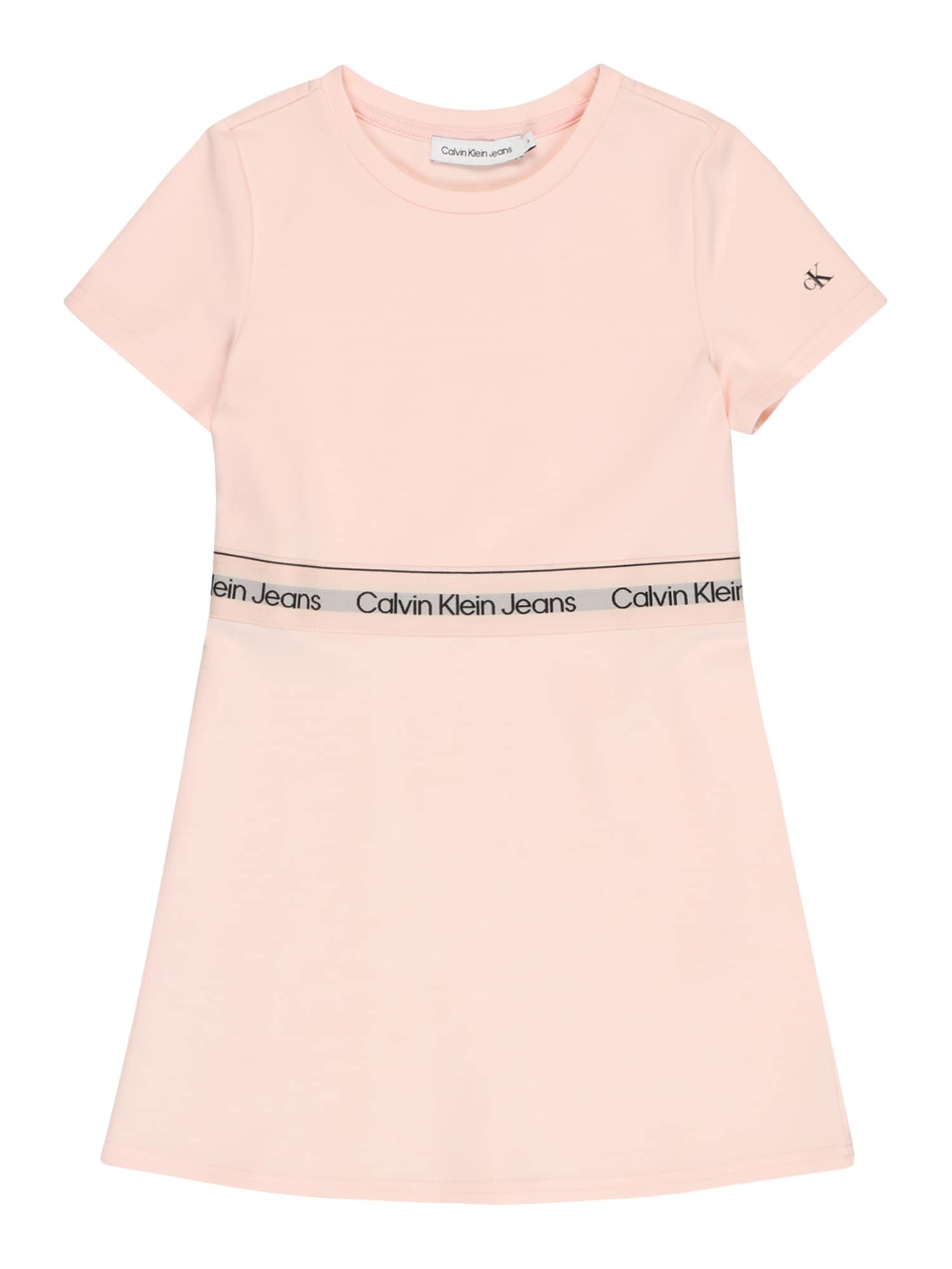 Calvin Klein Jeans Obleka  siva / staro roza / črna