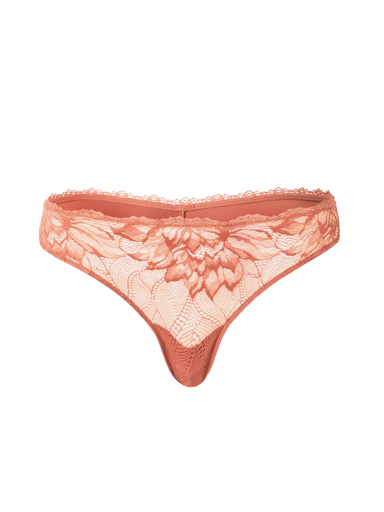 Calvin Klein Underwear Tangice  konjak