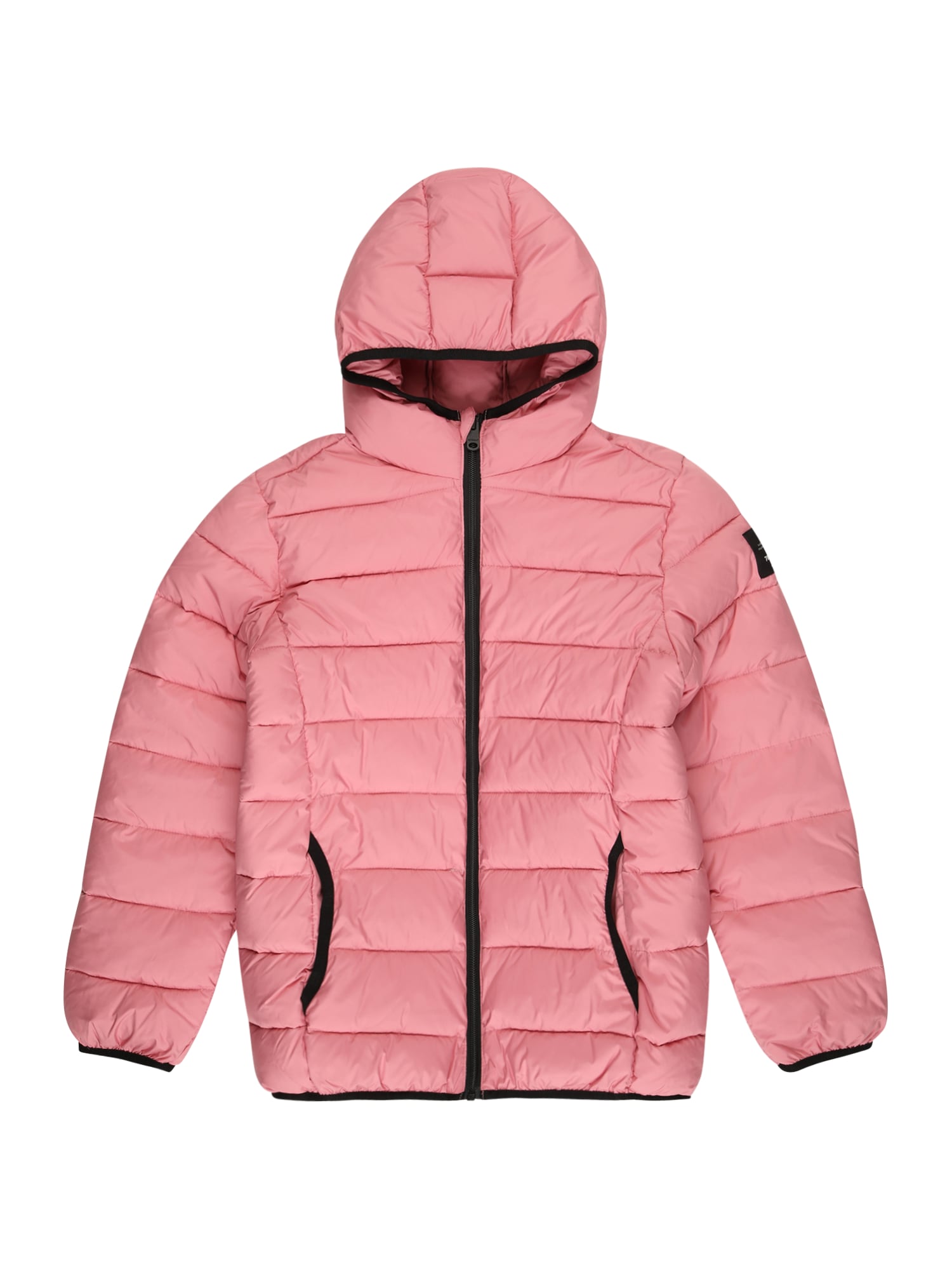 ECOALF Zimska jakna 'ASPEN'  roza / črna