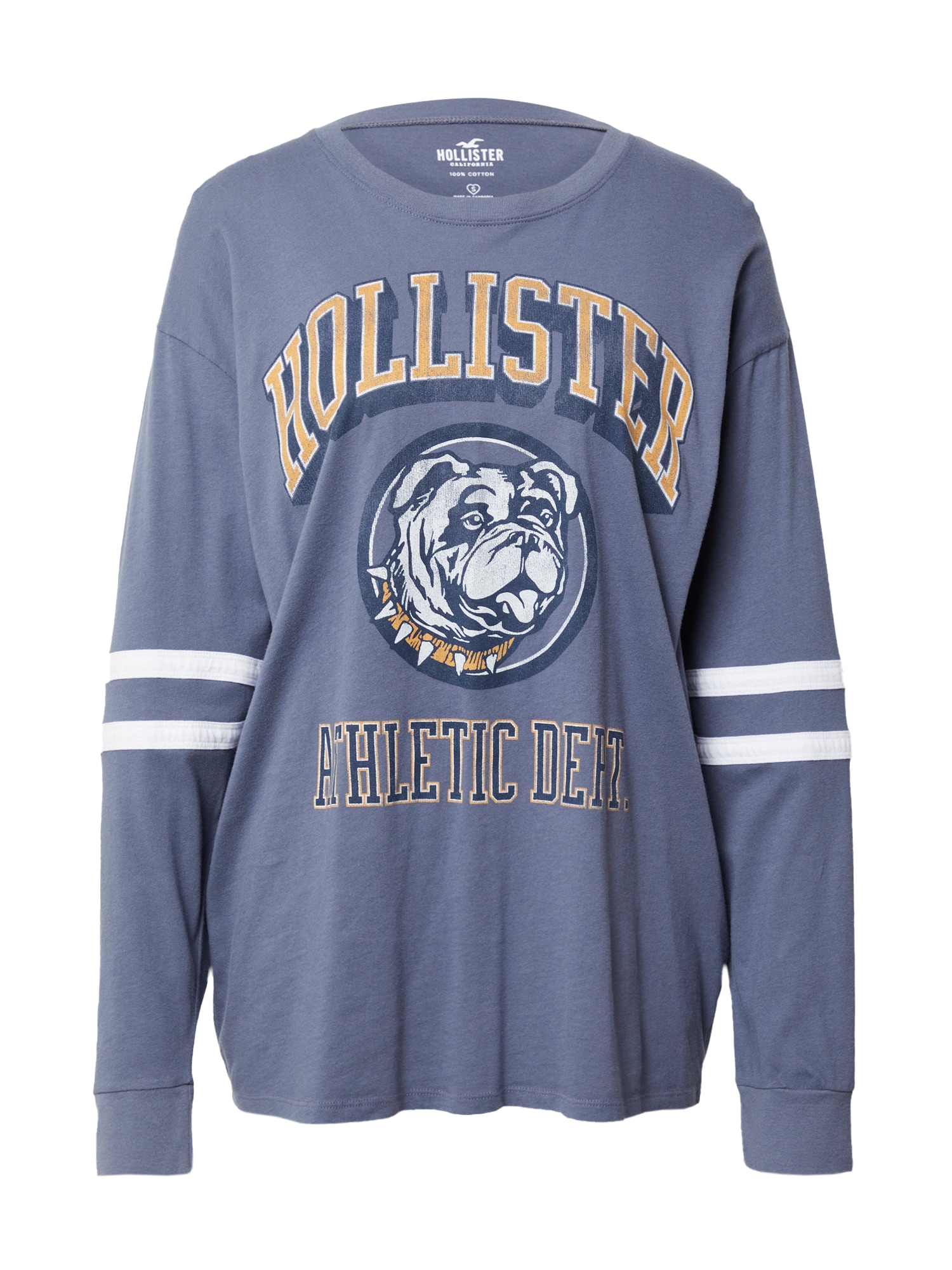 HOLLISTER Majica 'APAC'  bež / modra / vijolično modra / bela