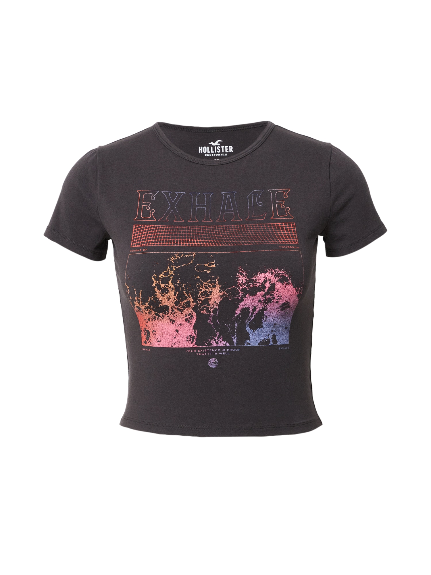 HOLLISTER Majica  golobje modra / antracit / neonsko roza / rjasto rdeča