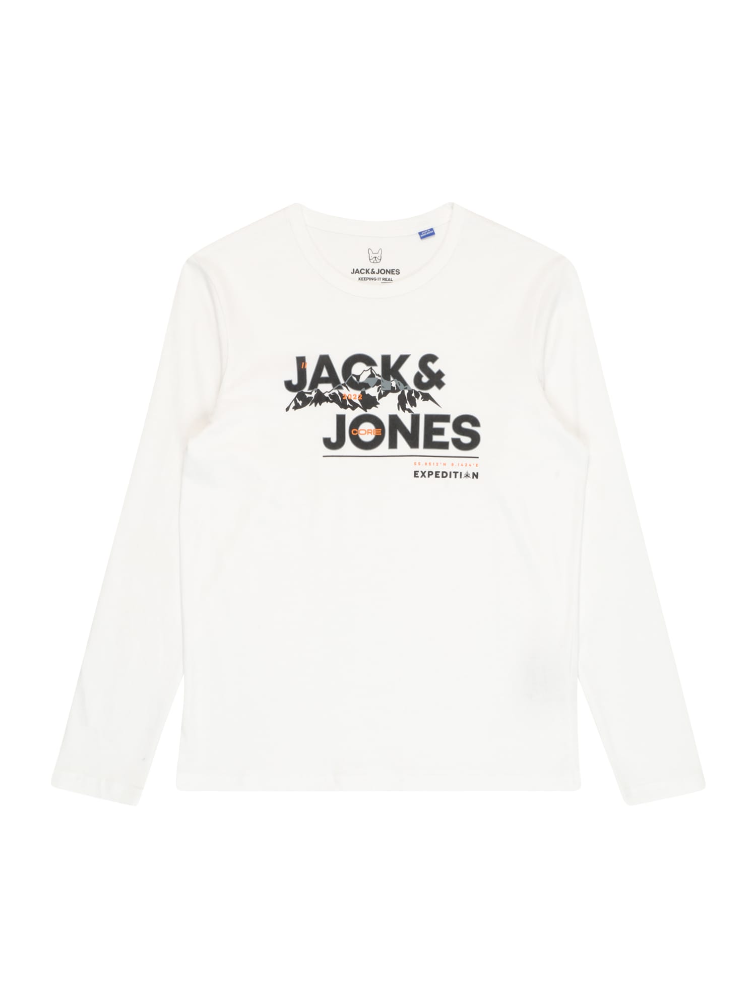 Jack & Jones Junior Majica 'HUNTER'  siva / oranžna / črna / bela