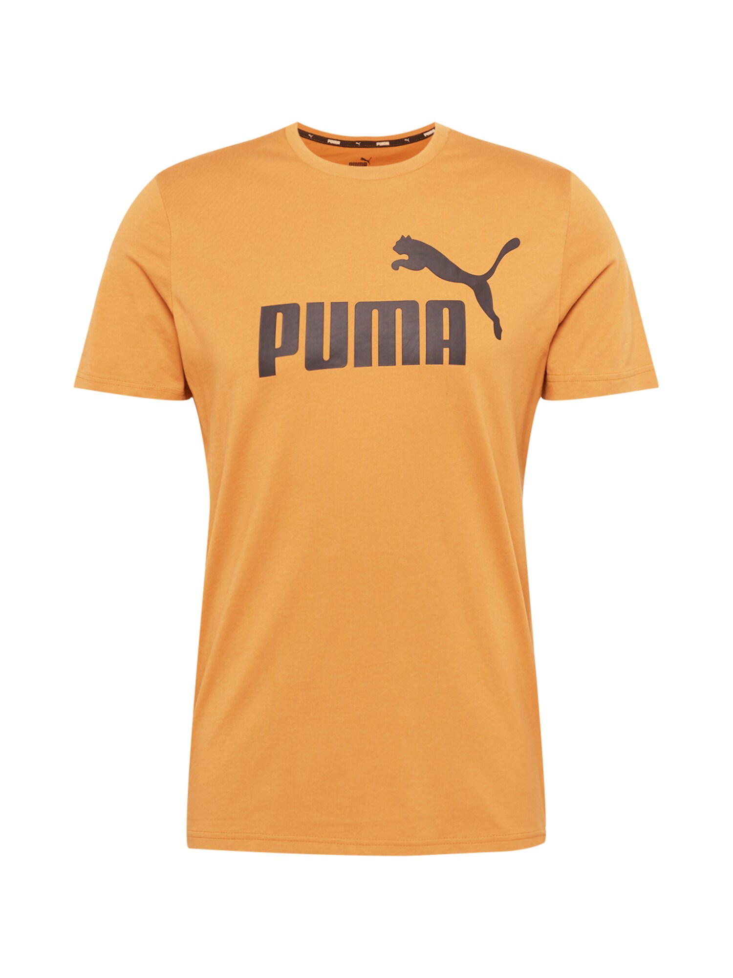 PUMA Funkcionalna majica  svetlo rjava / črna