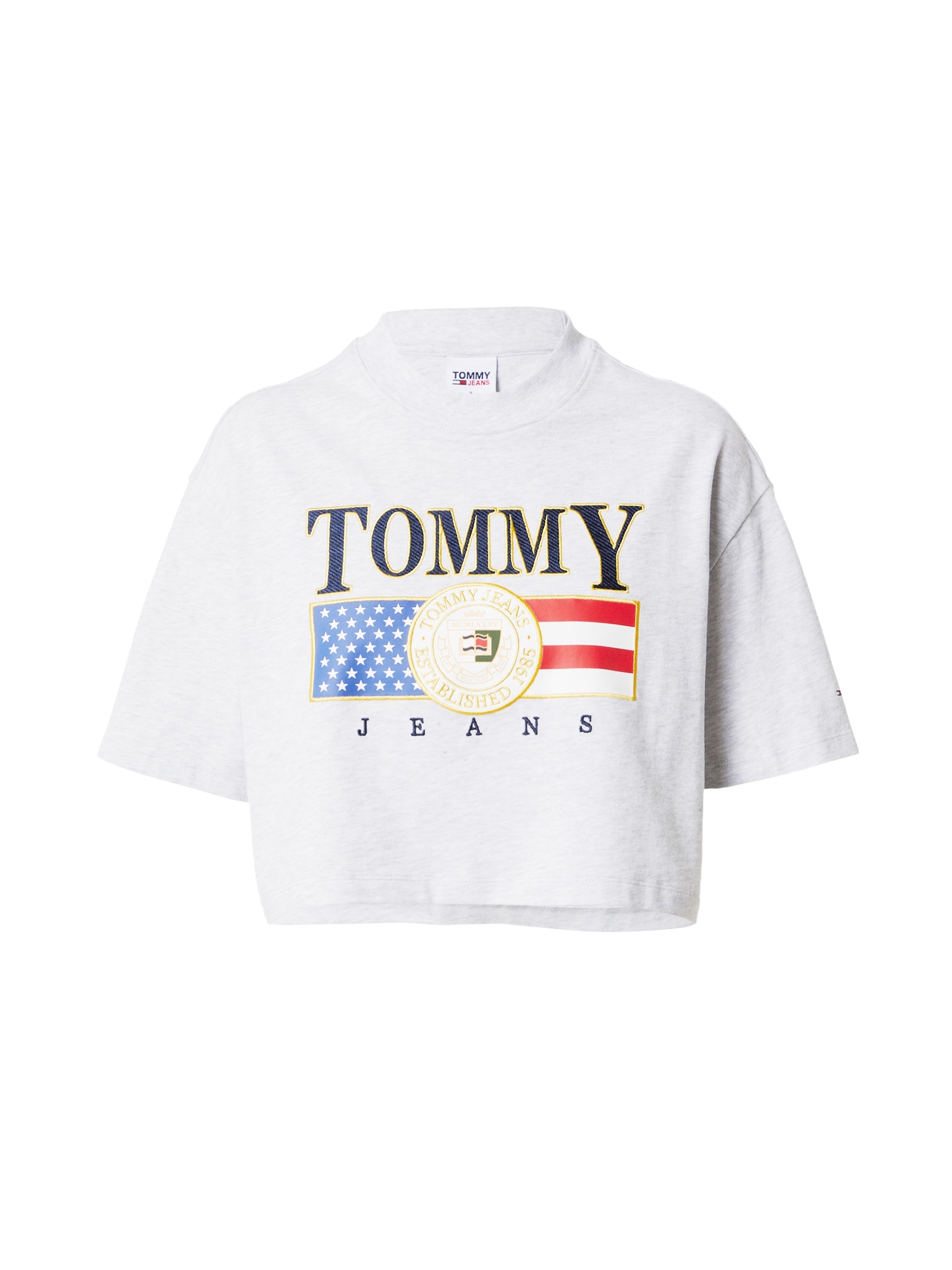 Tommy Jeans Majica  pegasto siva / mešane barve