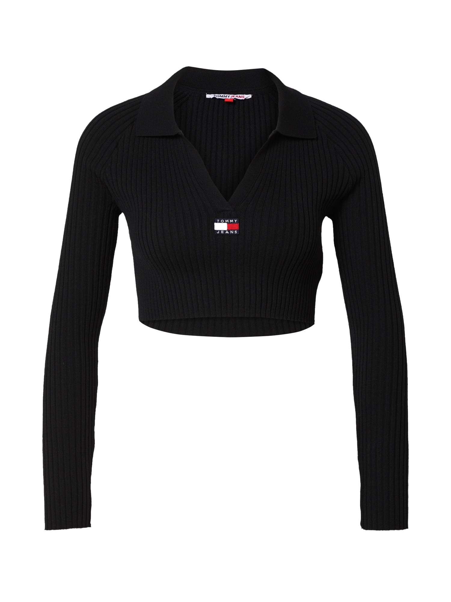 Tommy Jeans Pulover  mornarska / rdeča / črna / bela