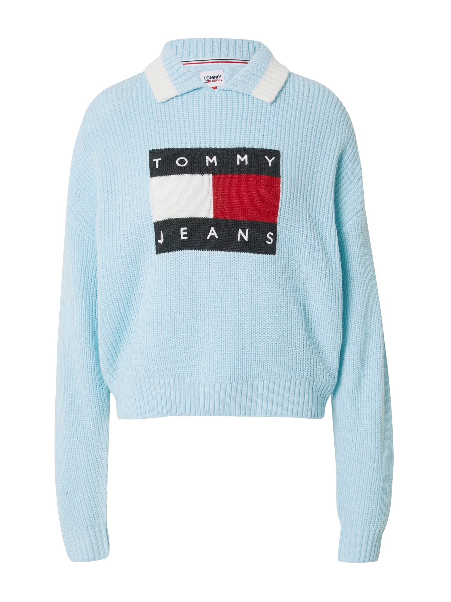 Tommy Jeans Pulover  svetlo modra / rdeča / črna / bela