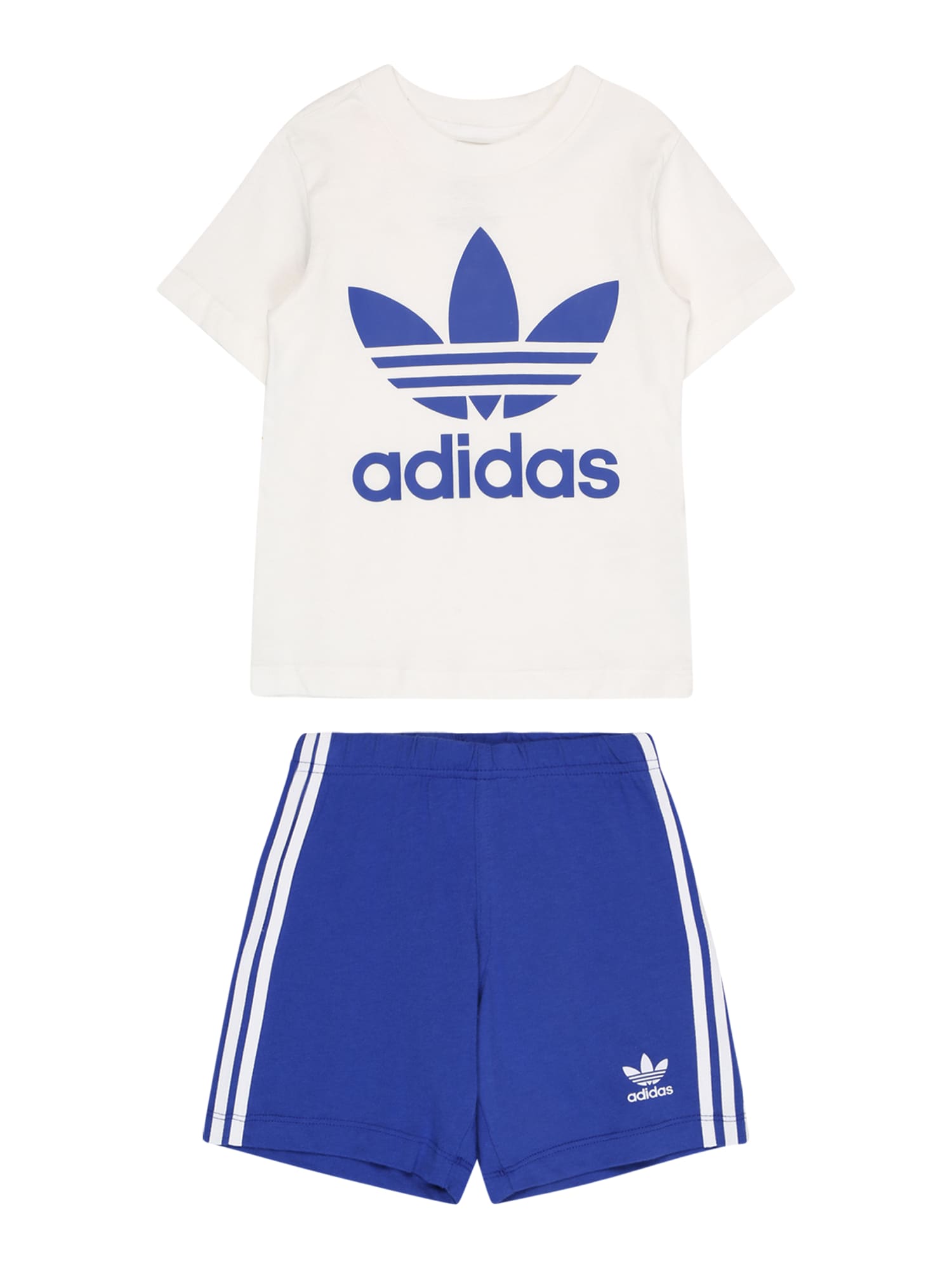 ADIDAS ORIGINALS Komplet  modra / bela