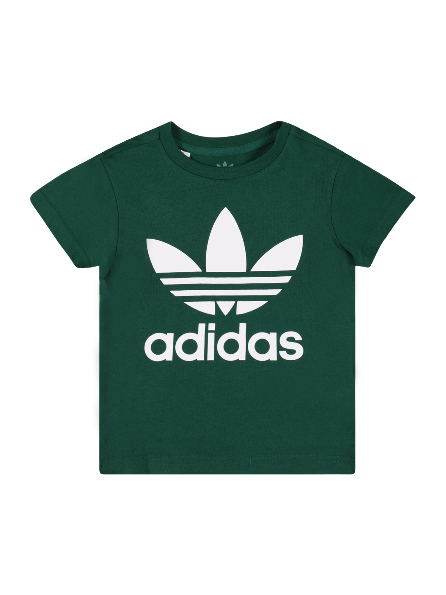 ADIDAS ORIGINALS Majica  temno zelena / bela