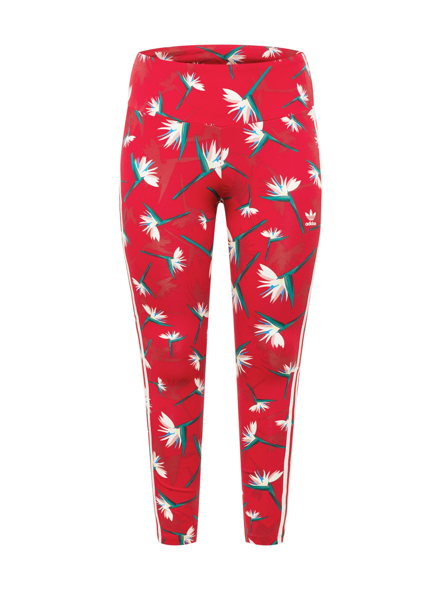 ADIDAS ORIGINALS Pajkice  mešane barve / rdeča