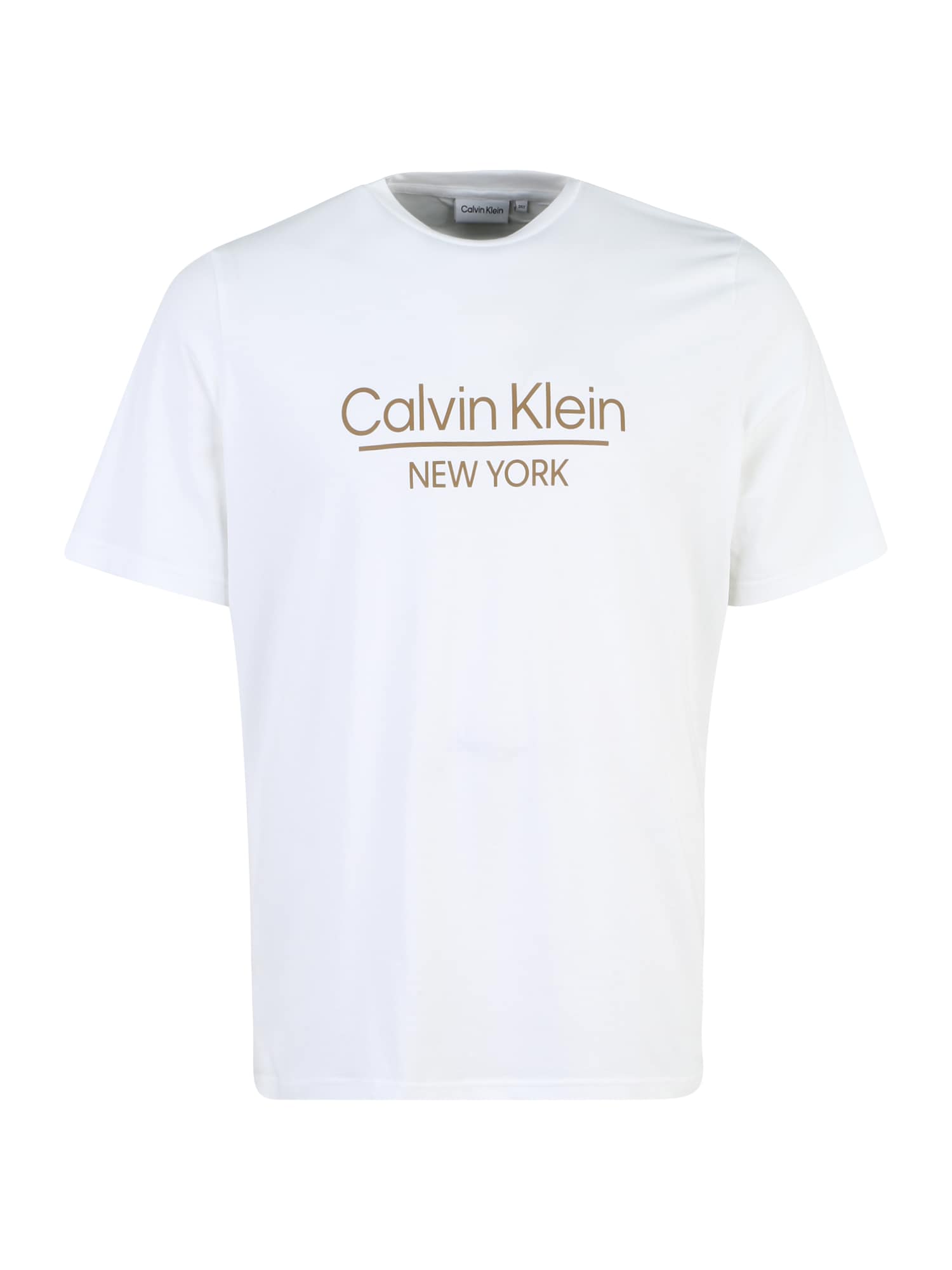 Calvin Klein Big & Tall Majica  rjava / bela