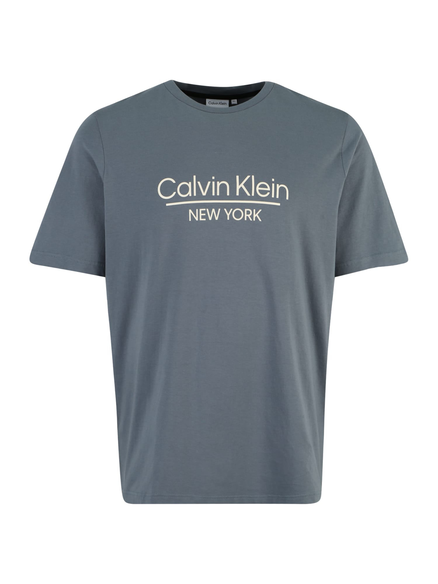 Calvin Klein Big & Tall Majica  temno siva / bela