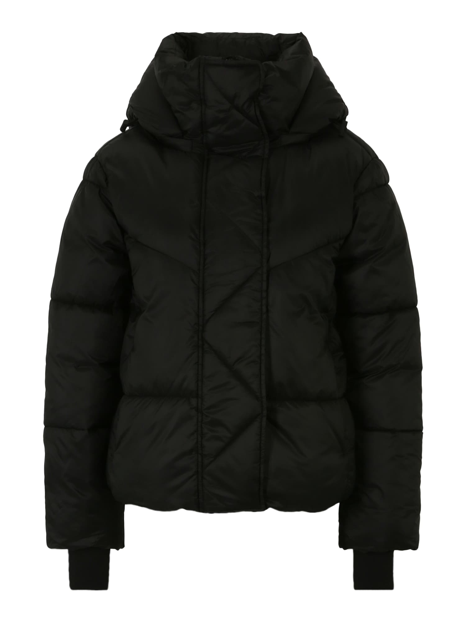 Gap Tall Zimska jakna  črna