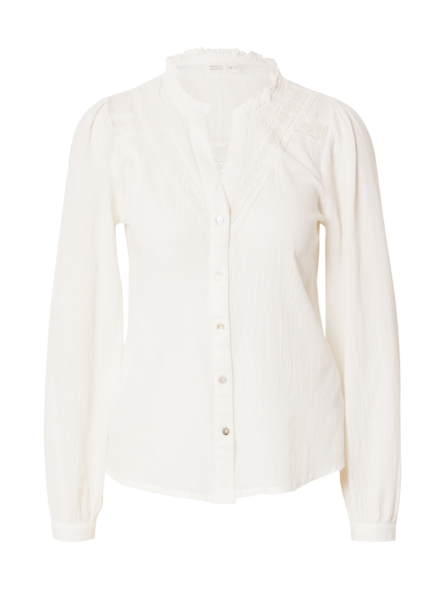 Springfield Bluza  kremna