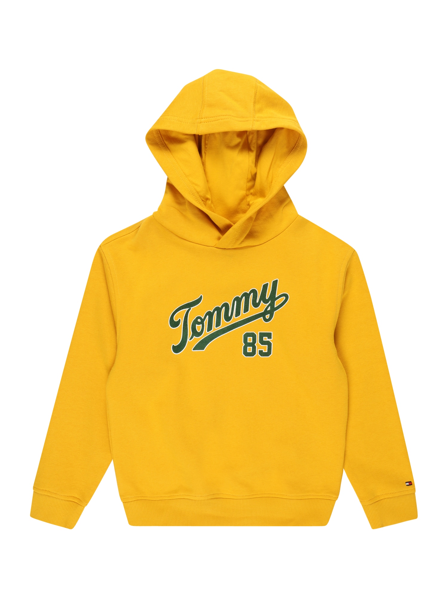 TOMMY HILFIGER Majica 'COLLEGE 85'  kari / zelena / bela