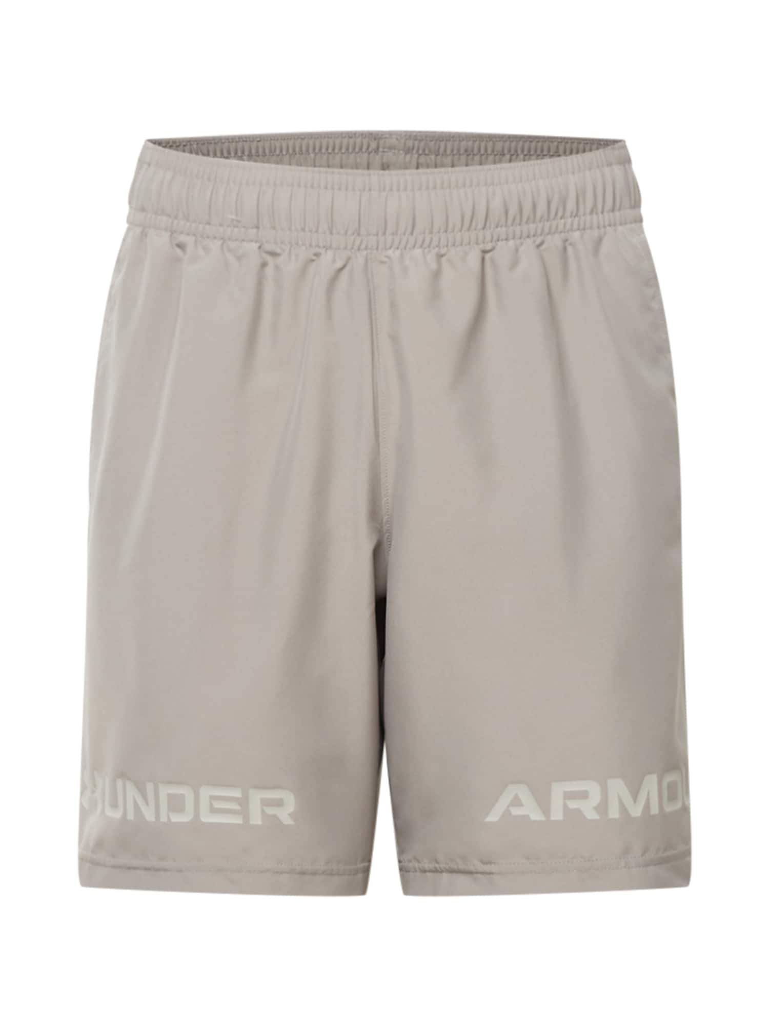 UNDER ARMOUR Športne hlače  kamen / svetlo siva