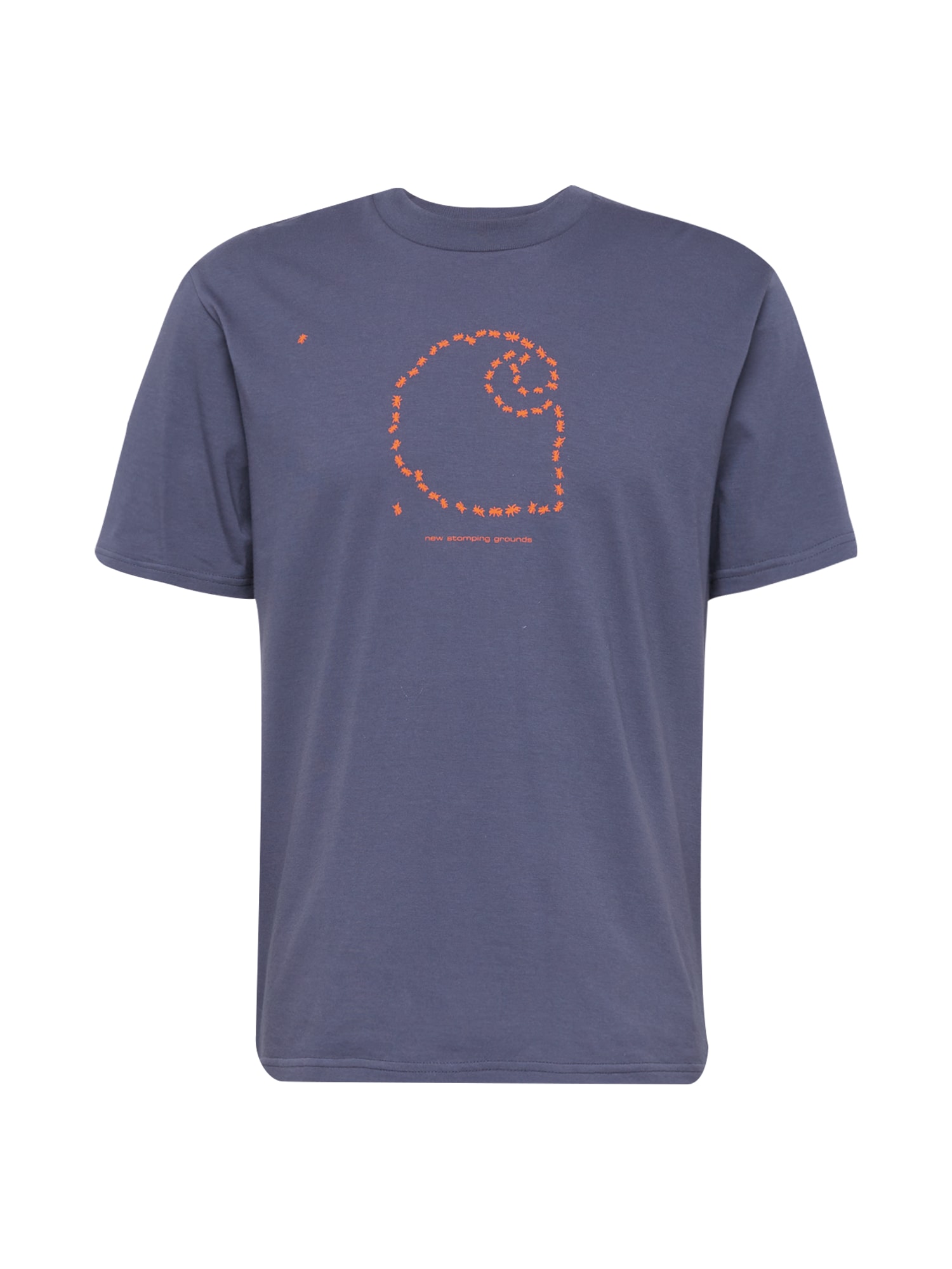 Carhartt WIP Majica 'Stomping Grounds'  golobje modra / oranžna