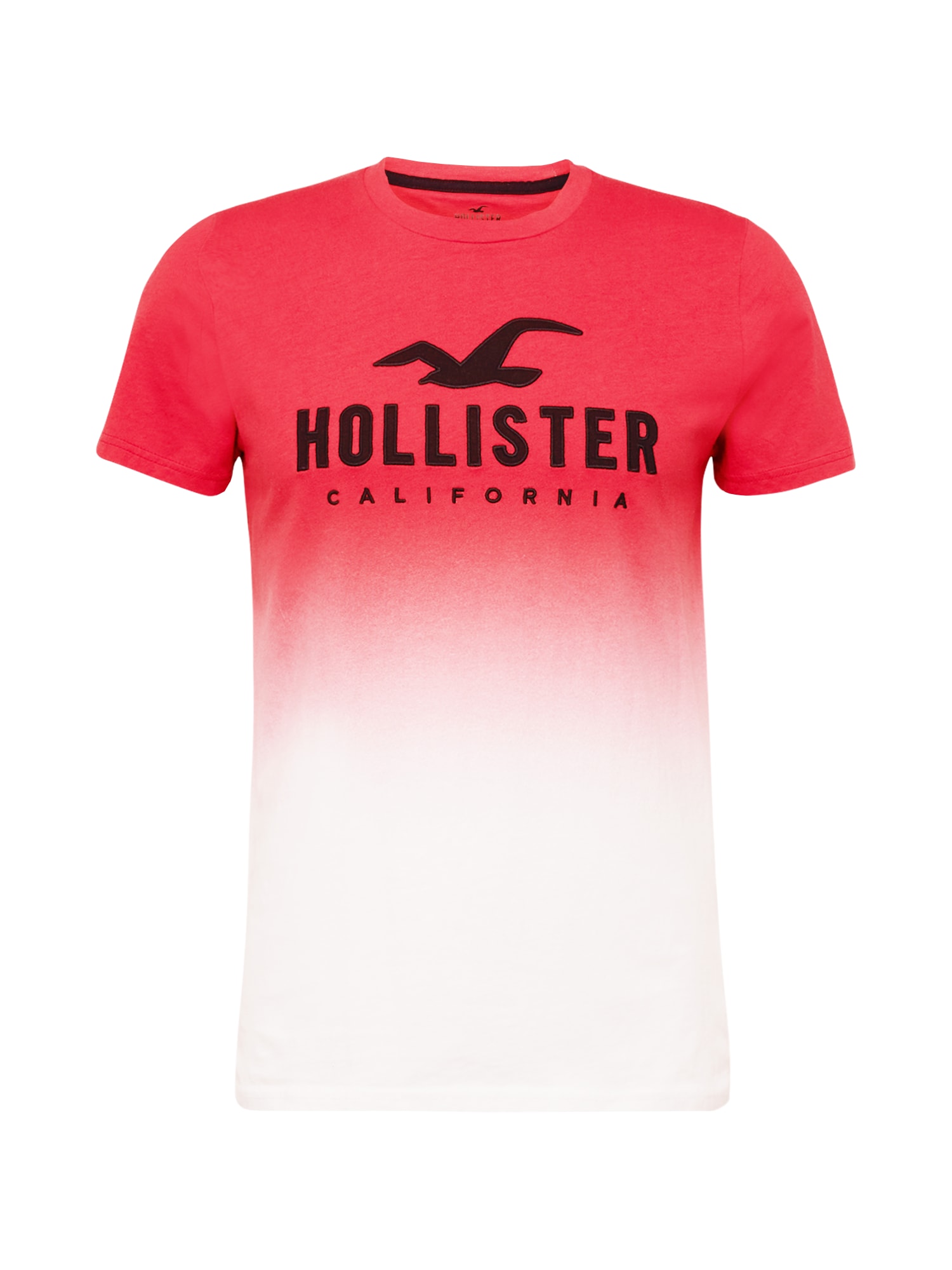 HOLLISTER Majica  rdeča / črna / bela