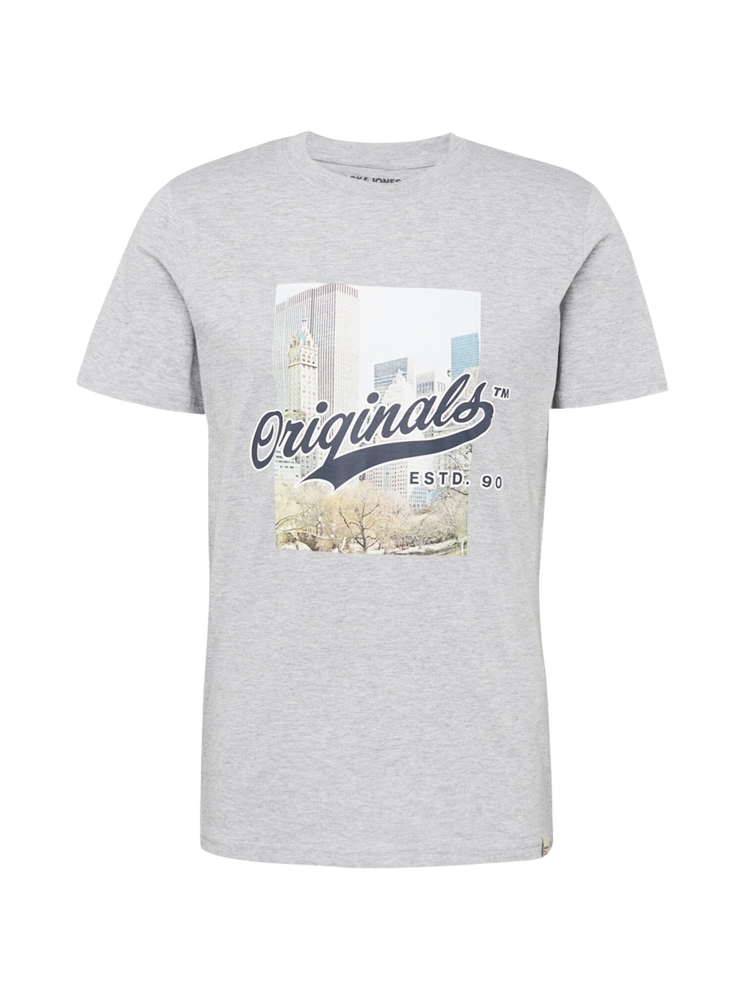 JACK & JONES Majica  pegasto siva / mešane barve