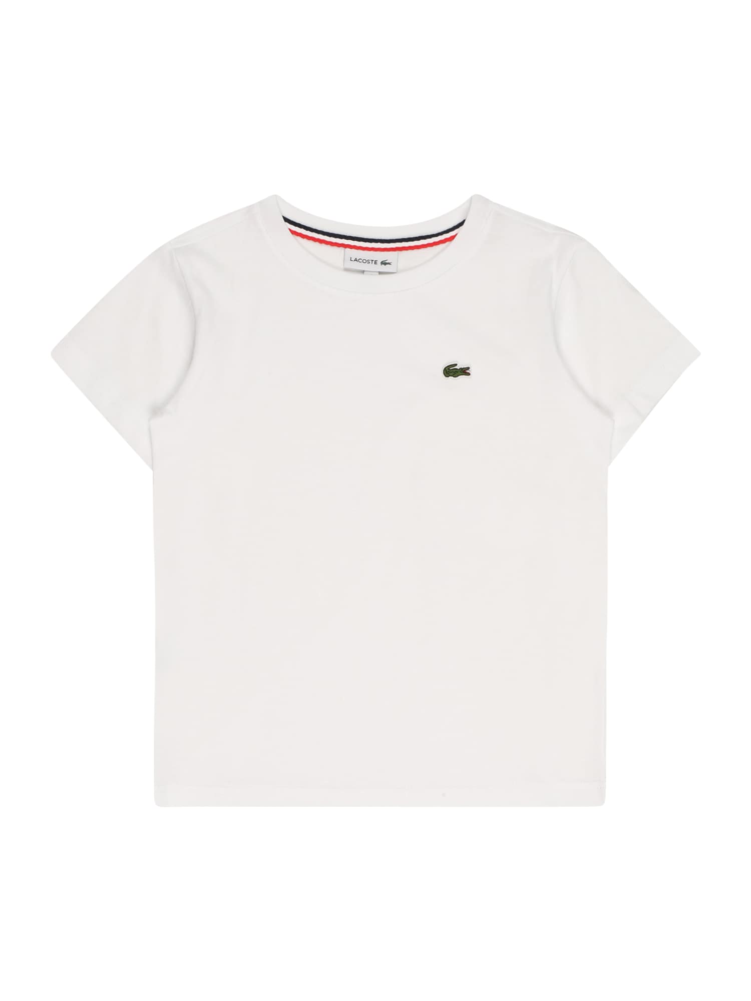 LACOSTE Majica  zelena / bela