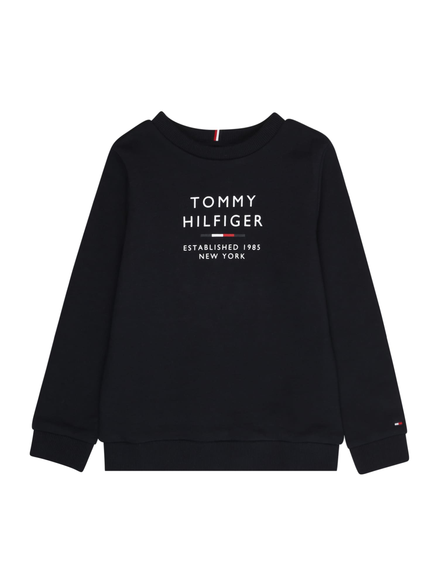 TOMMY HILFIGER Majica  temno modra / bela