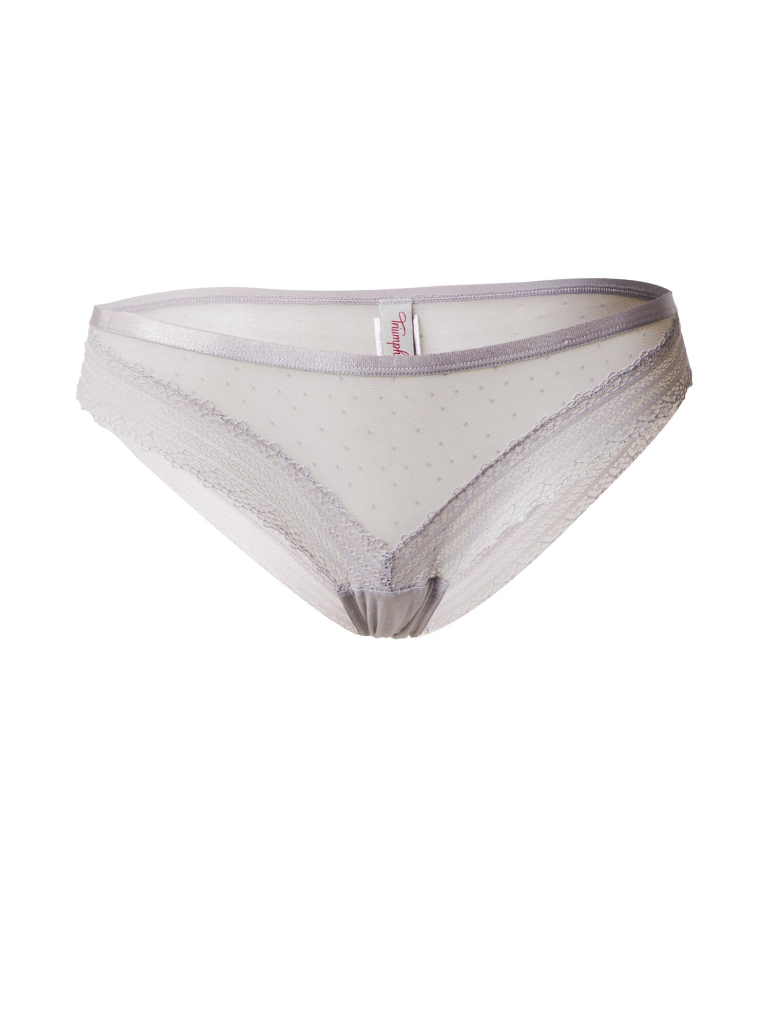 TRIUMPH Spodnje hlačke 'Tempting Tulle'  siva