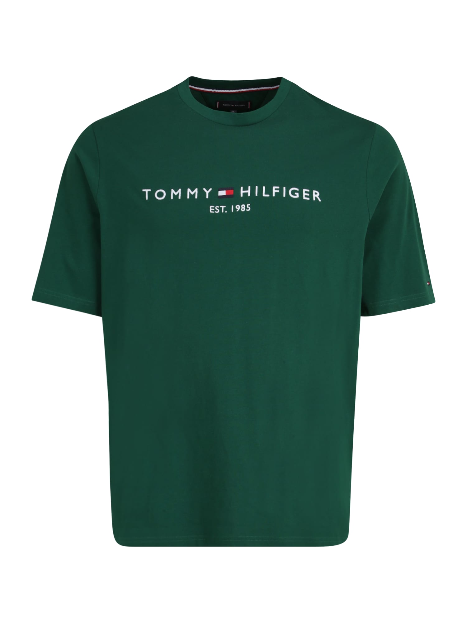 Tommy Hilfiger Big & Tall Majica  temno modra / temno zelena / rdeča / bela